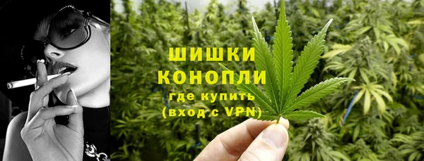 ПСИЛОЦИБИНОВЫЕ ГРИБЫ Аркадак