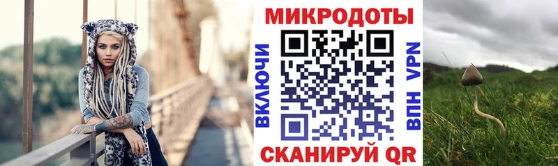 сколько стоит  Махачкала  Псилоцибиновые грибы GOLDEN TEACHER 
