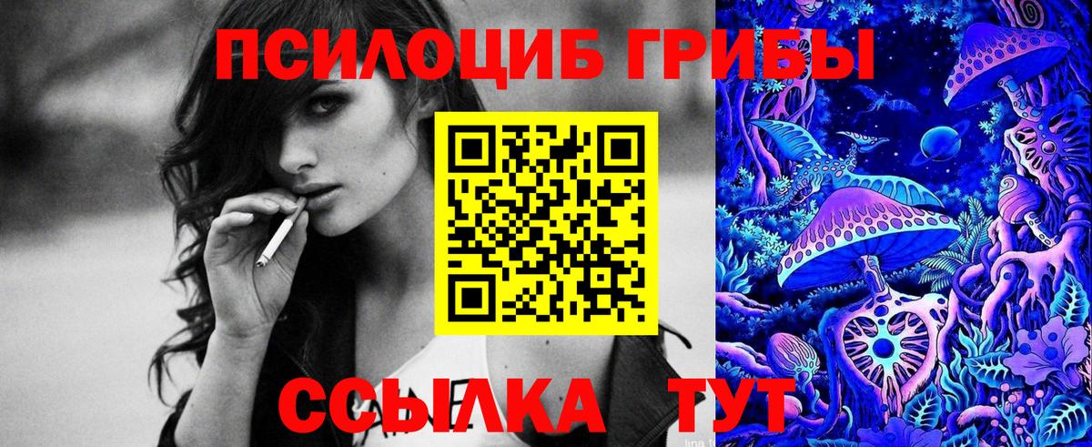 Махачкала  Галлюциногенные грибы прущие грибы  Вход с VPN  Галлюциногенные грибы Magic Shrooms 