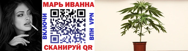 Бошки Шишки планчик  Махачкала 